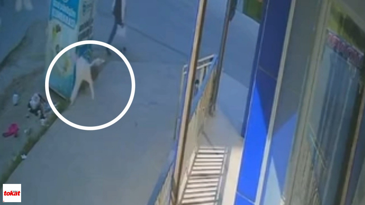 5. Kattan Düşen 1 Yaşındaki Bebek Ağır Yaralandı1