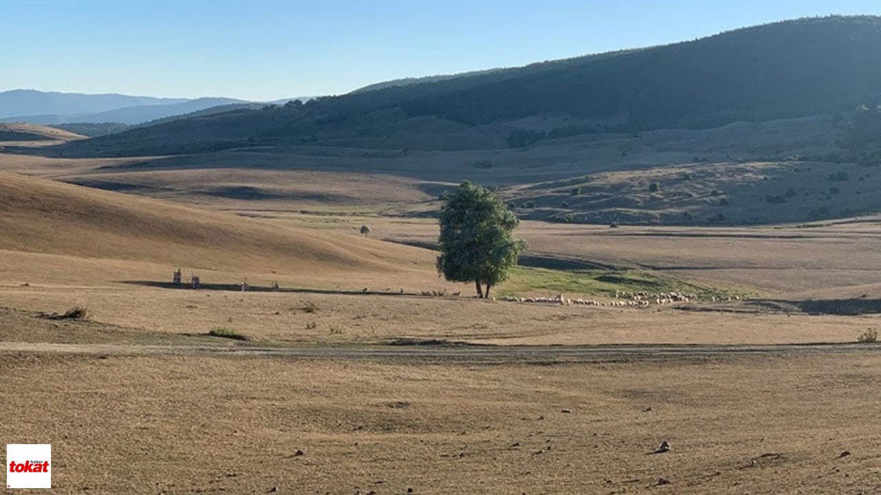 Çorum Ve Tokat’ın İklimi, Muğla Ve Aydın Ile Yer Değiştiriyor!3