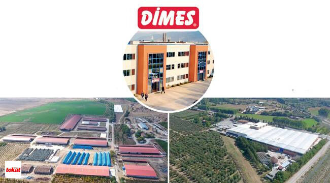 Di̇mes (4)