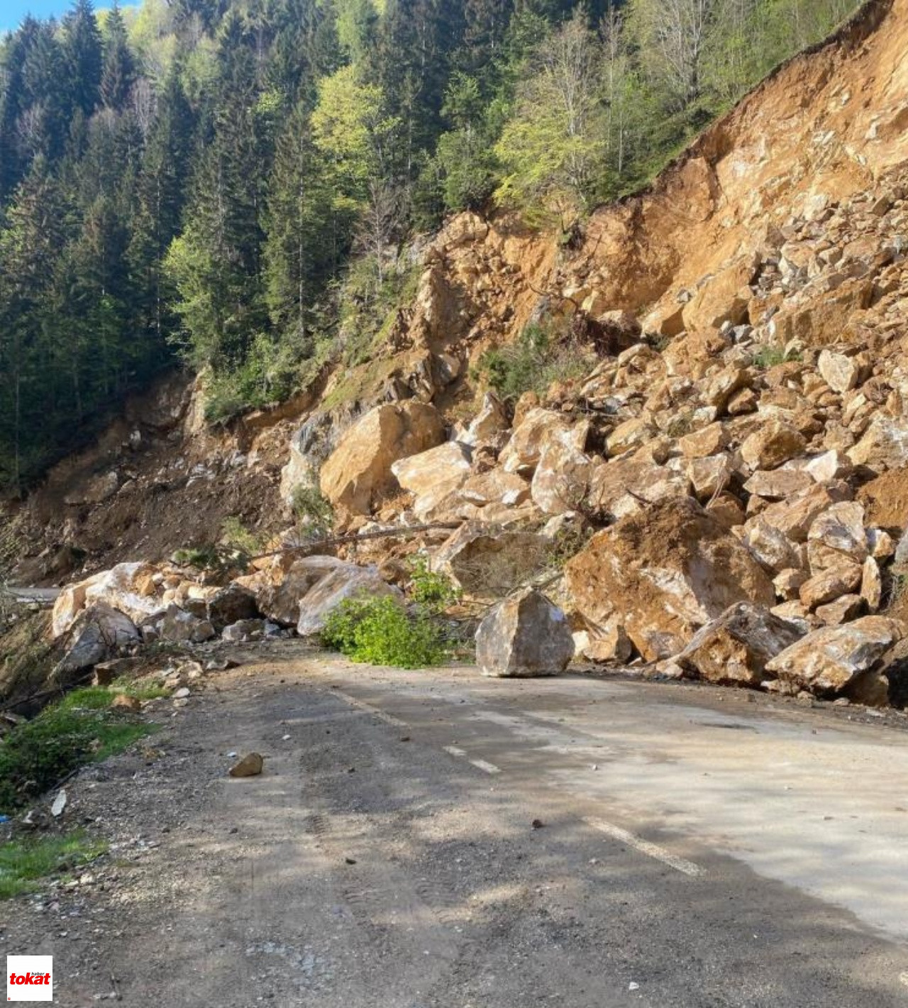 Giresun Heyelan (3)