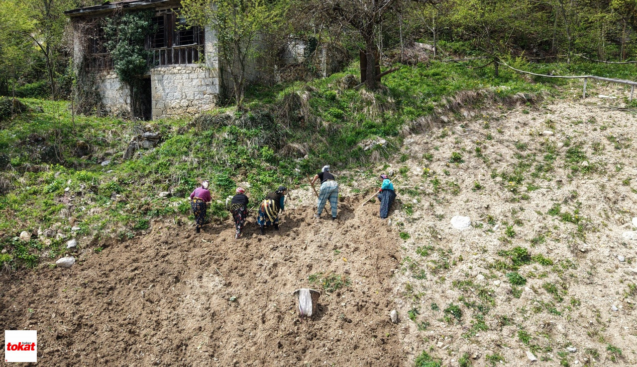 Geleneksel kıyafetleriyle Karadeniz kadını