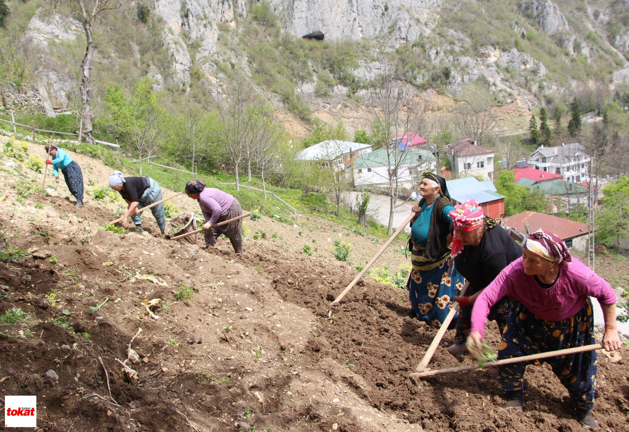 Tarım yapan kadın