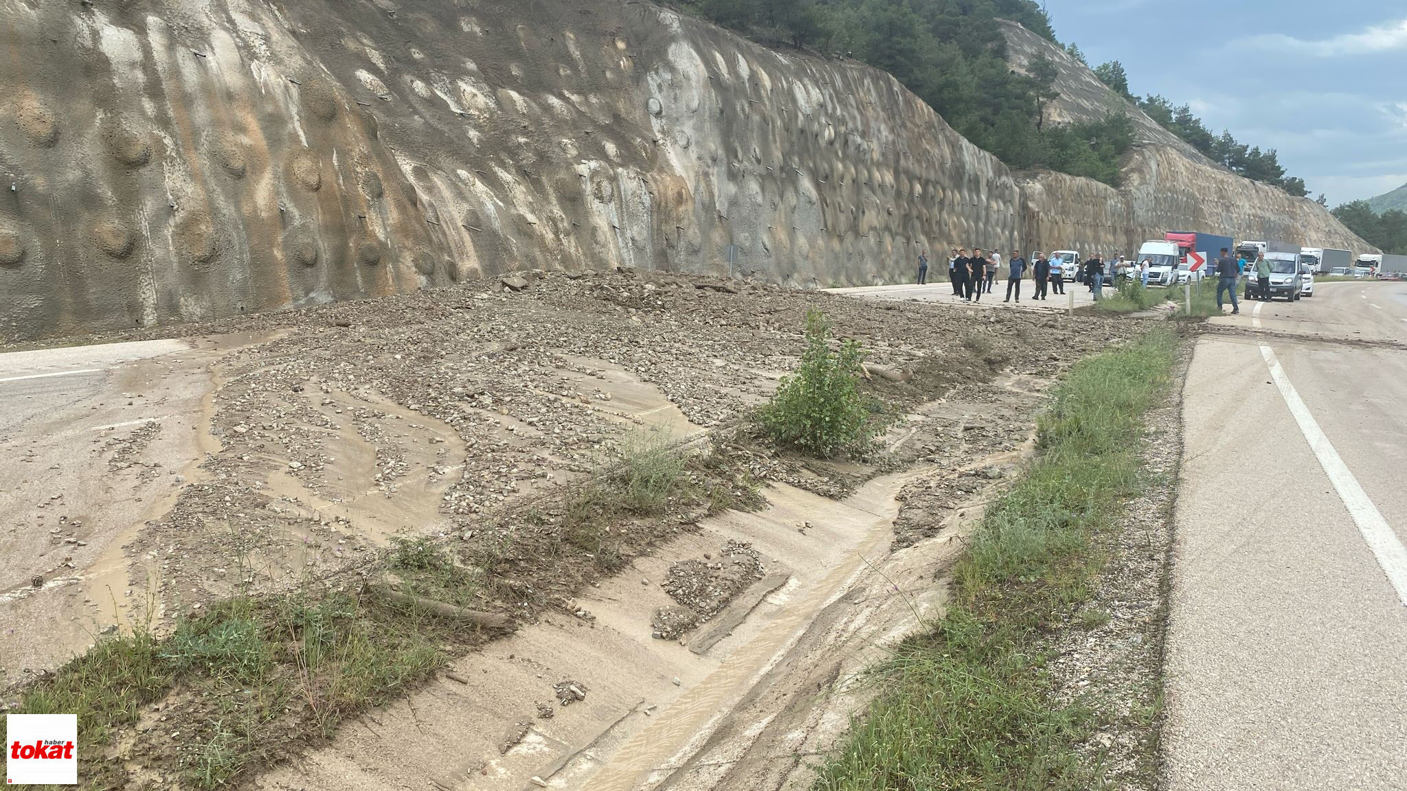 Reşadiye Heyelan (2)