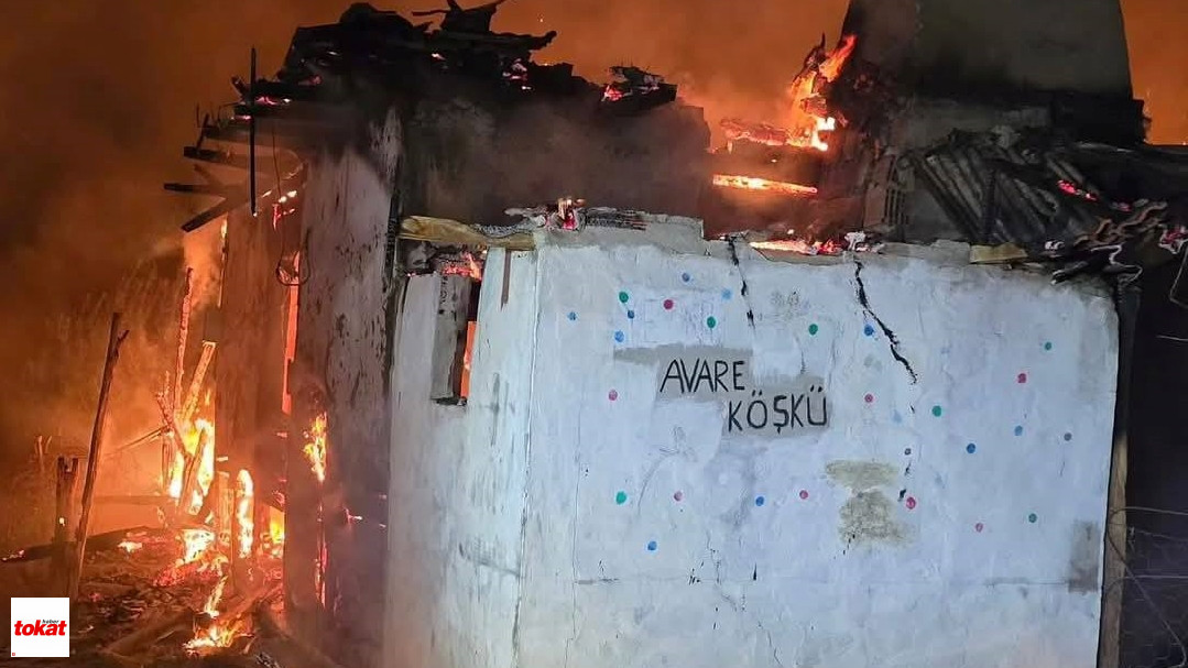 Reşadiye Yangın (7)