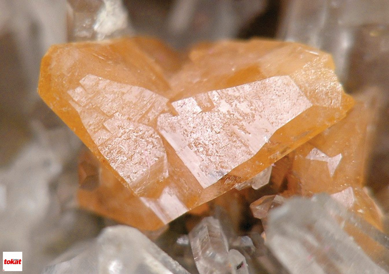 Resized 6Ebfc 26571744Toryumdetay