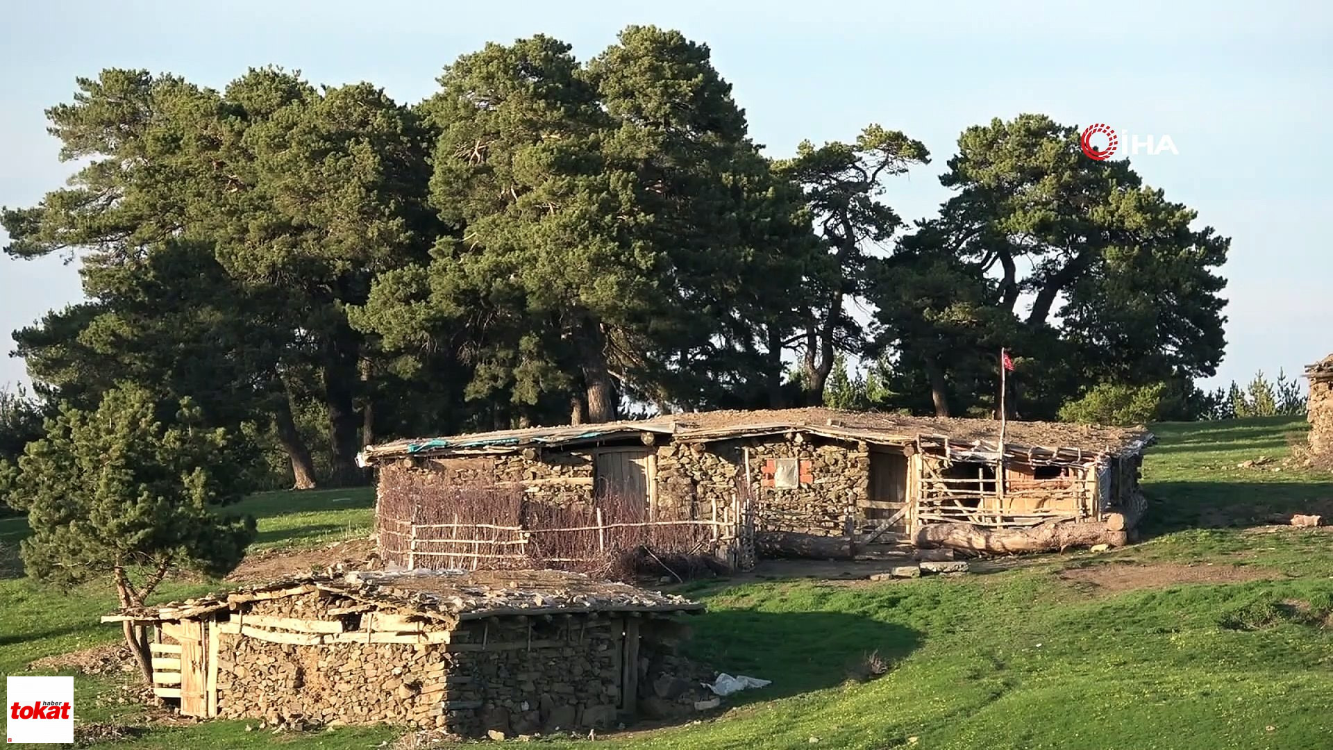 Topçam (1)