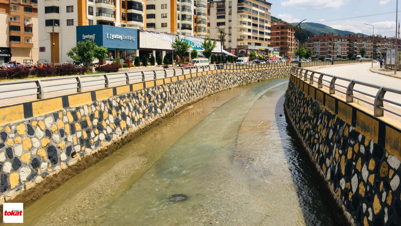 Balık Ölümleri (2)-1