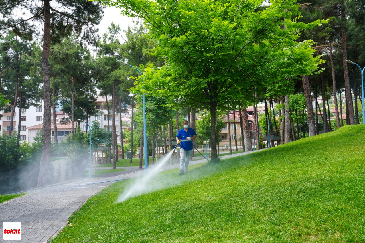 Çamlık1