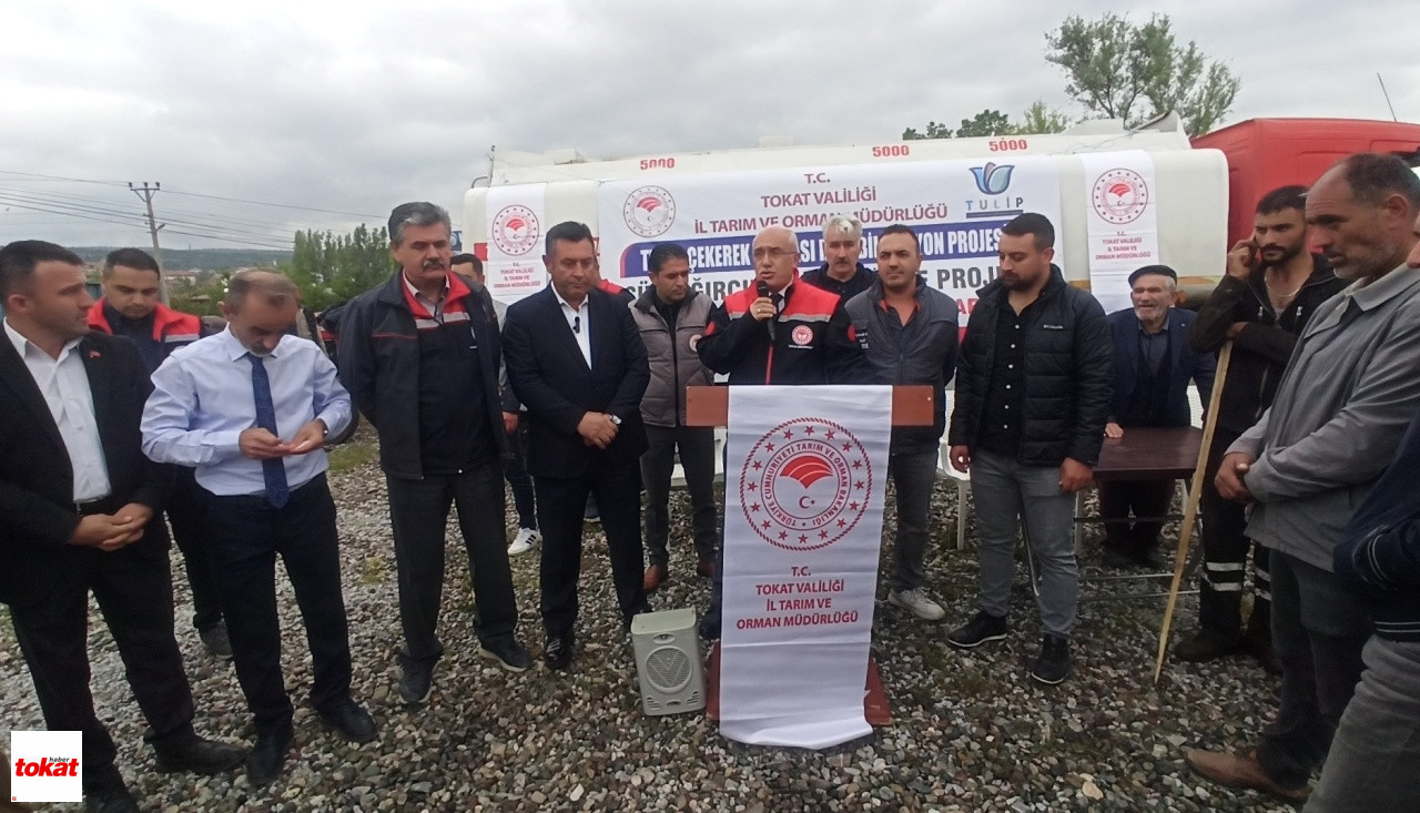 Damızlık Düve (2)