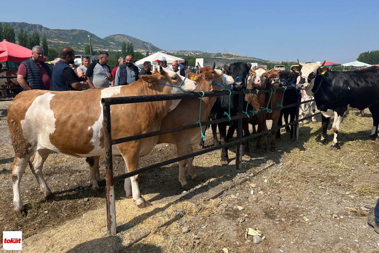 Kurban2