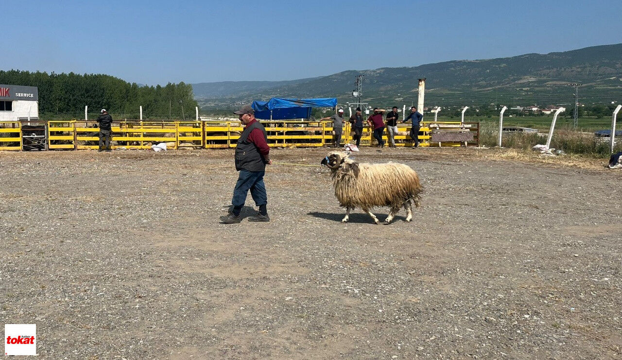 Kurban4