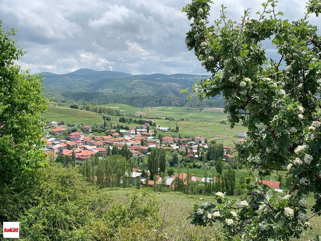 Maden