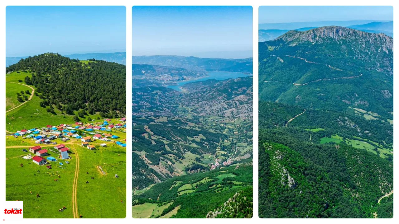 Tokat Haber1Almus Dumanlı Yaylası1