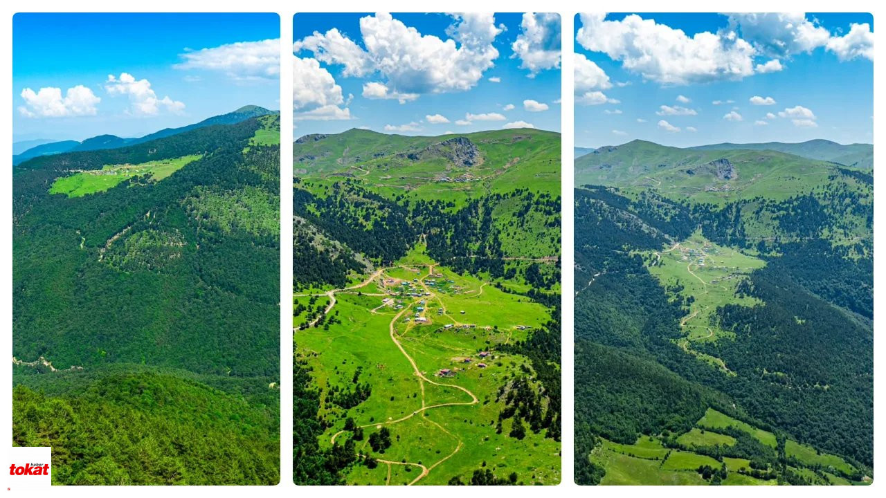Tokat Haber1Almus Dumanlı Yaylası2