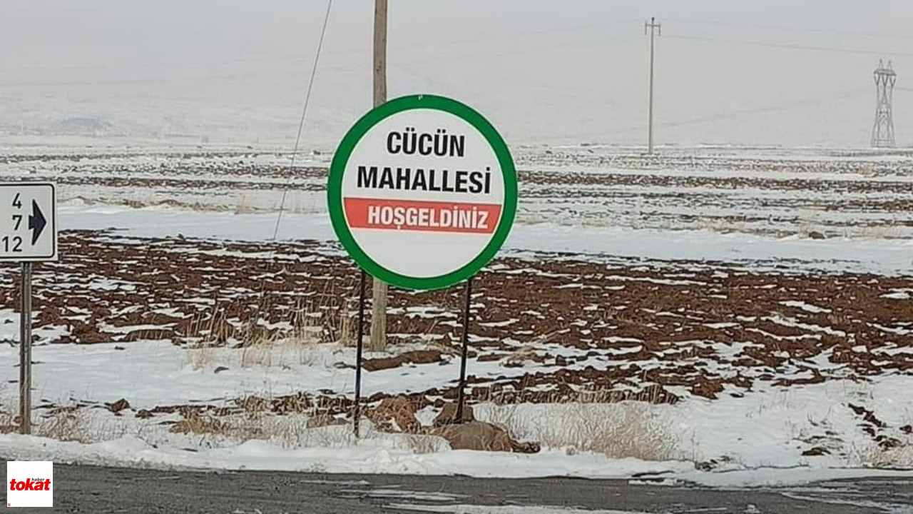 Tokat Ve Sivas'tan Sonra Kayseri'de De Kene Vakası1