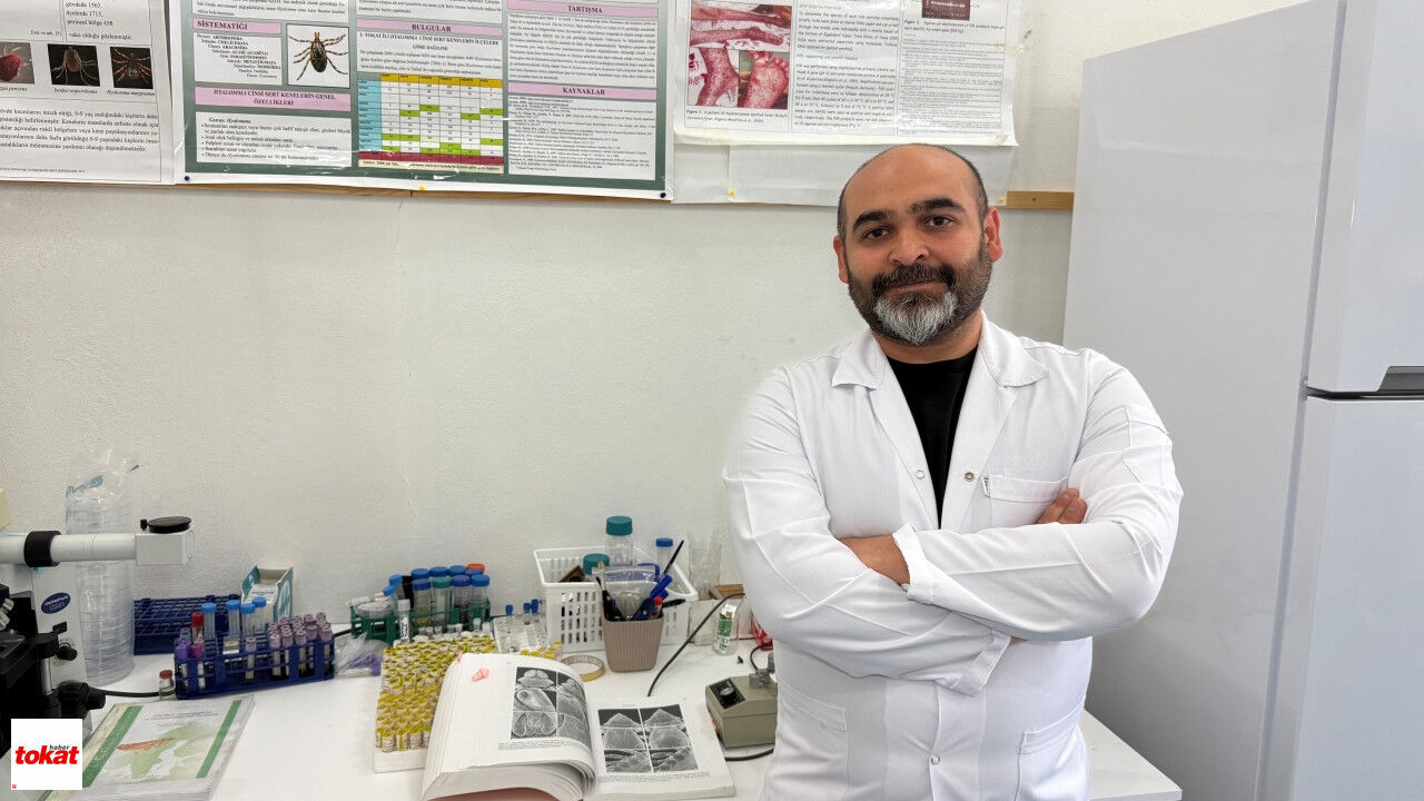 Kene Çıkartma (2)