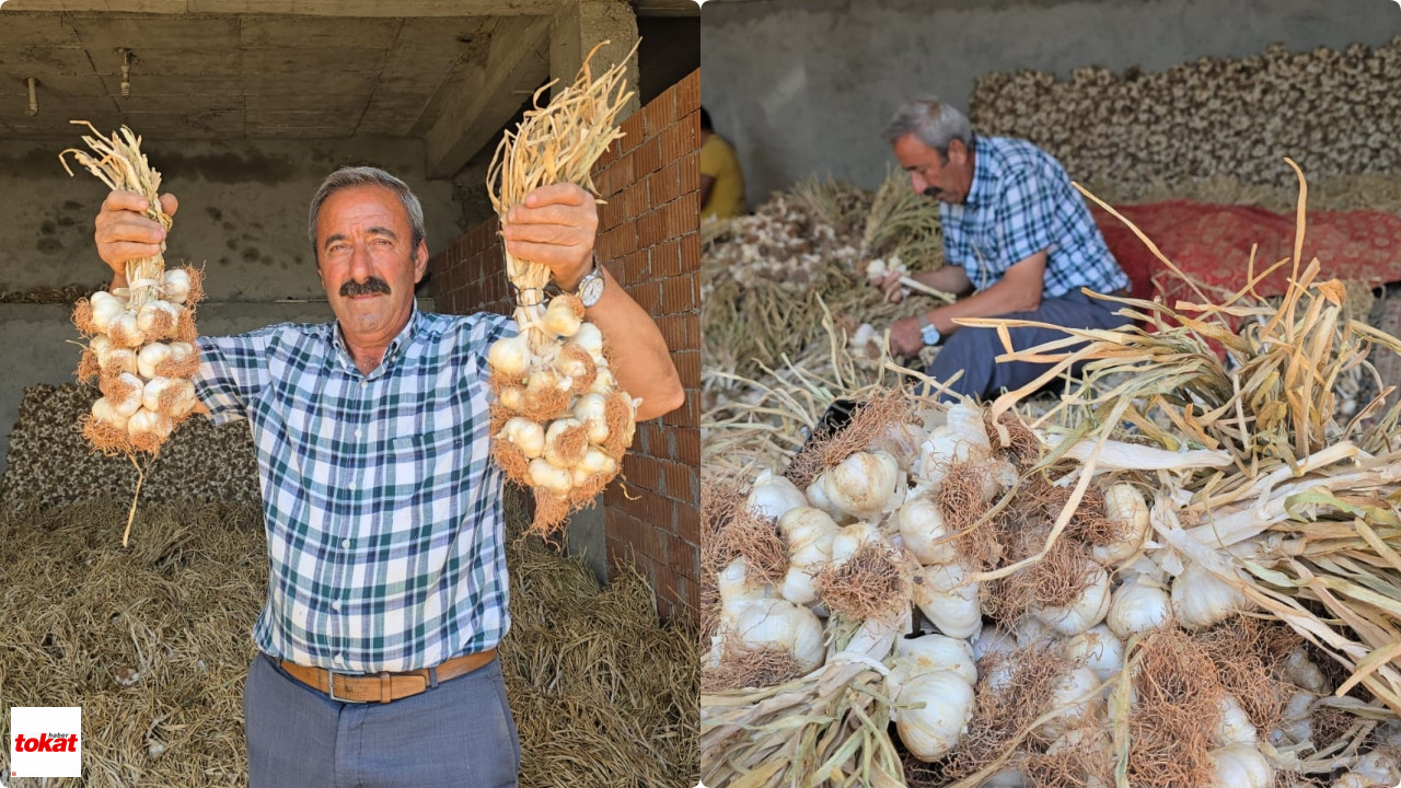 Sarmısak (2)