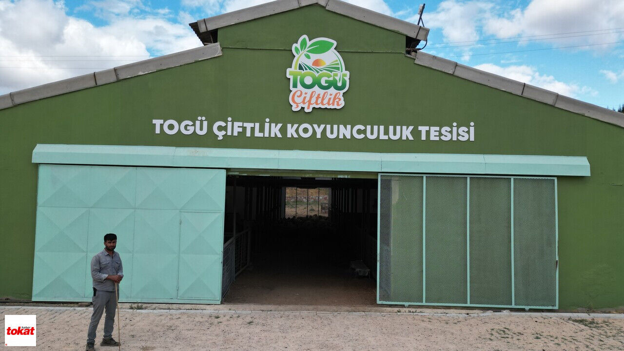 Karayaka Kuzu (4)
