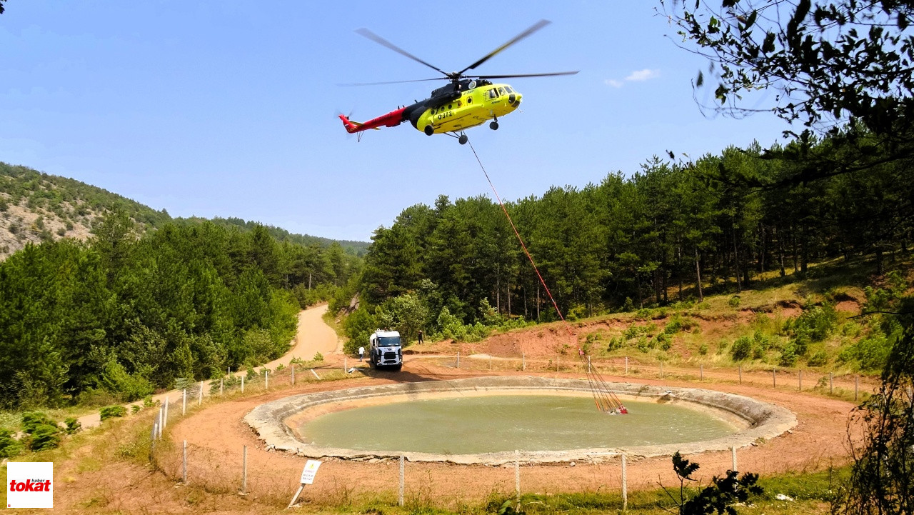 Orman Yangınları (6)