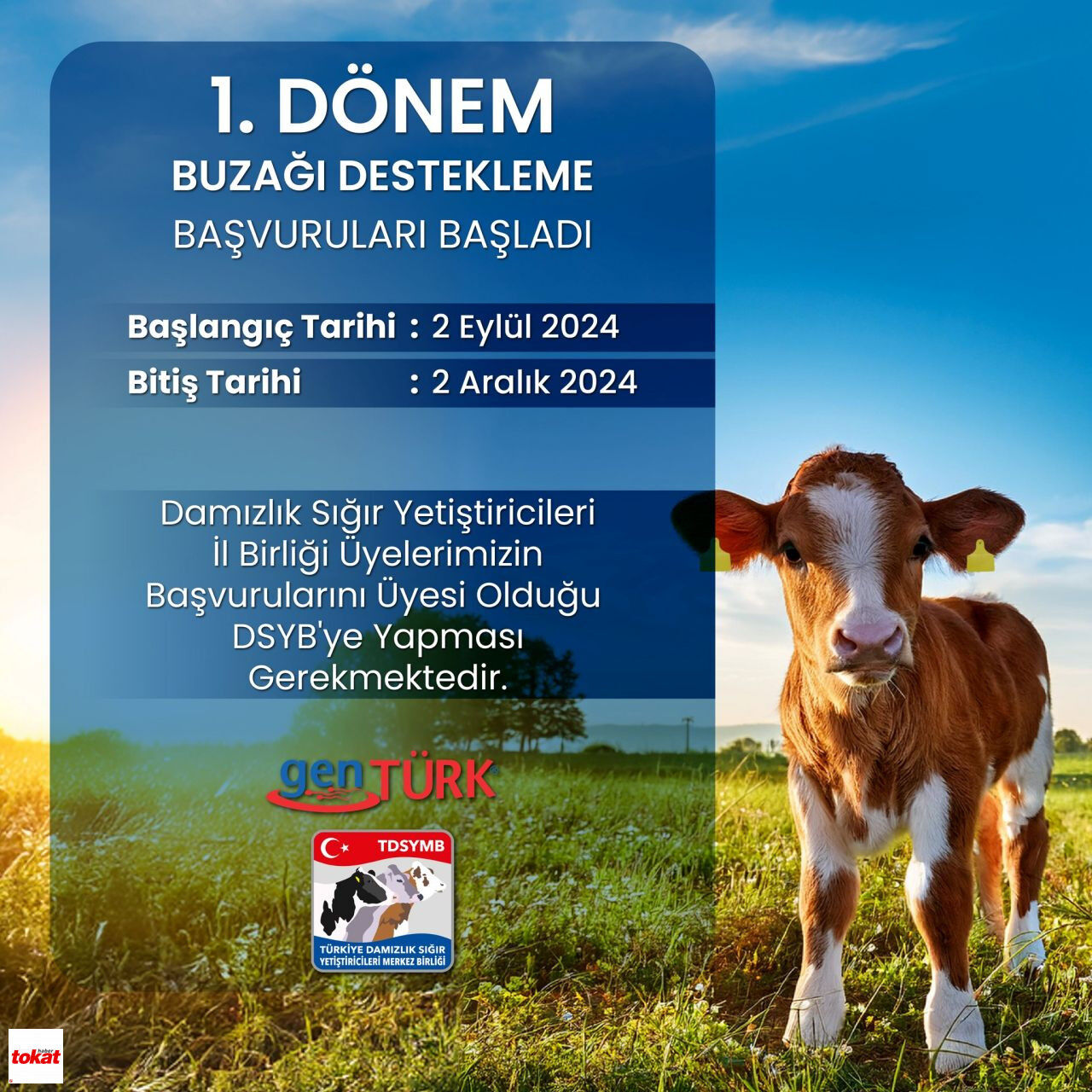 Tokat Haber475435907 928960346027612 6156666169513813195 N