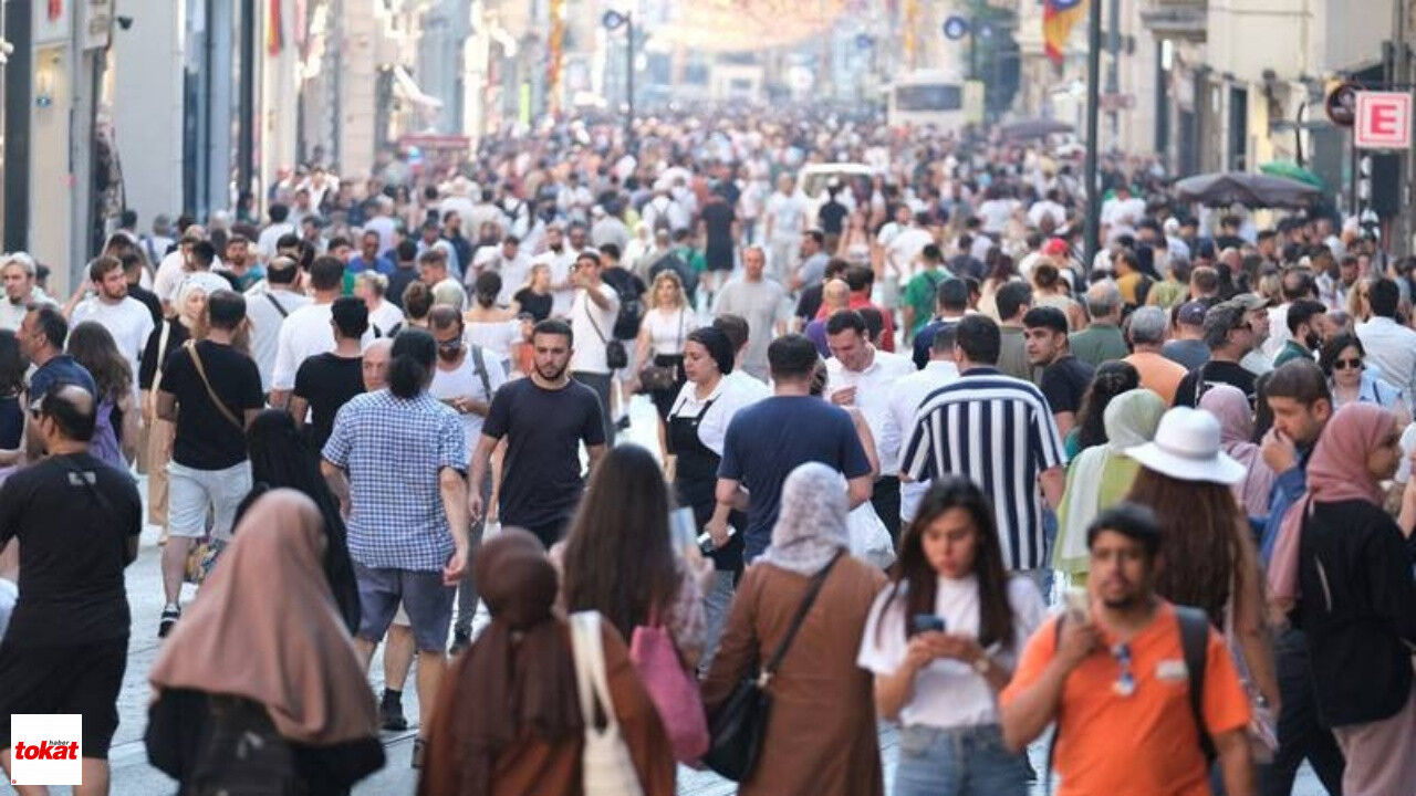 Türkiye Işsiz Üniversite Mezunu Sayısı