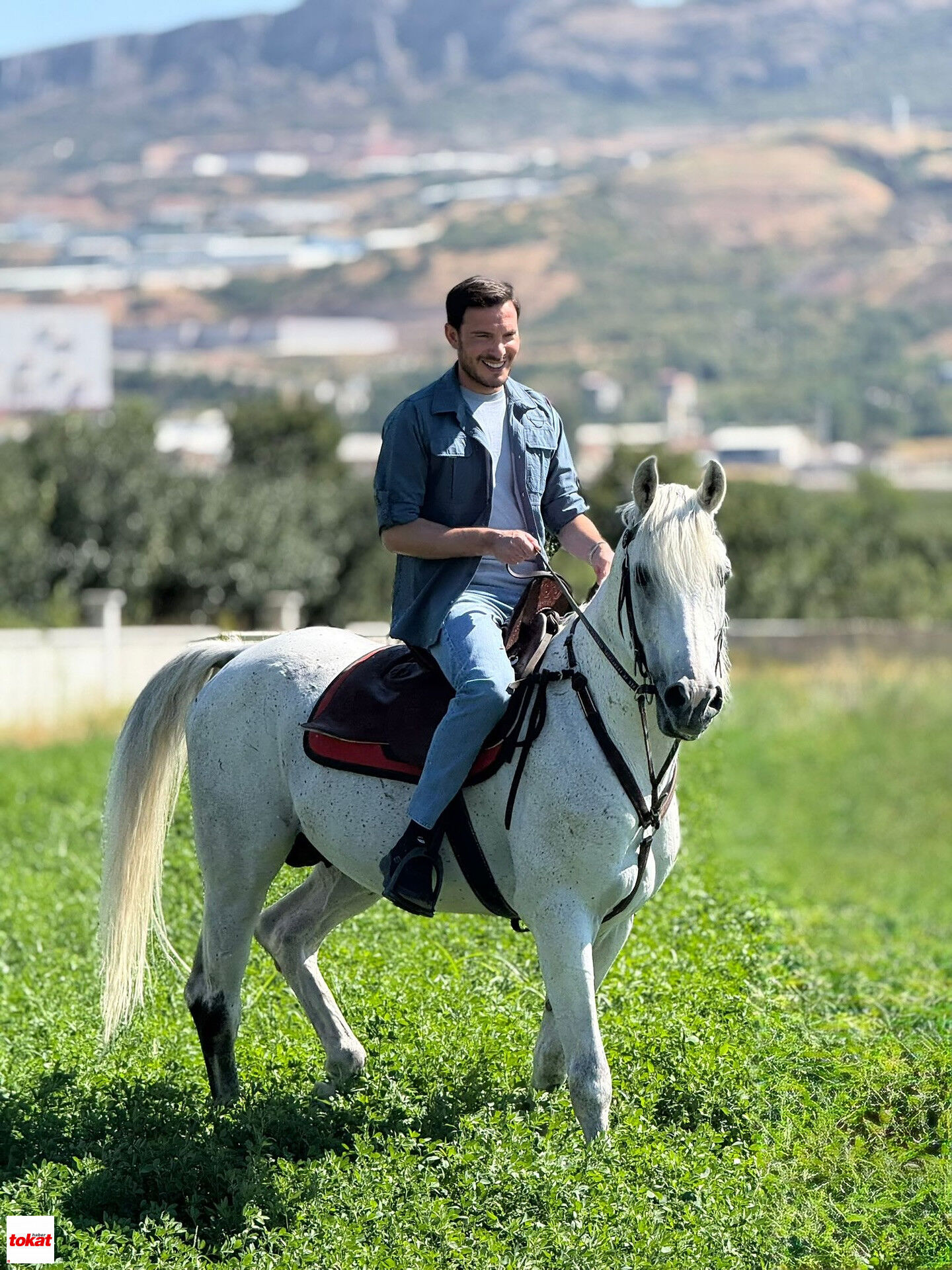 Yazıcıoğlu At (1)-1