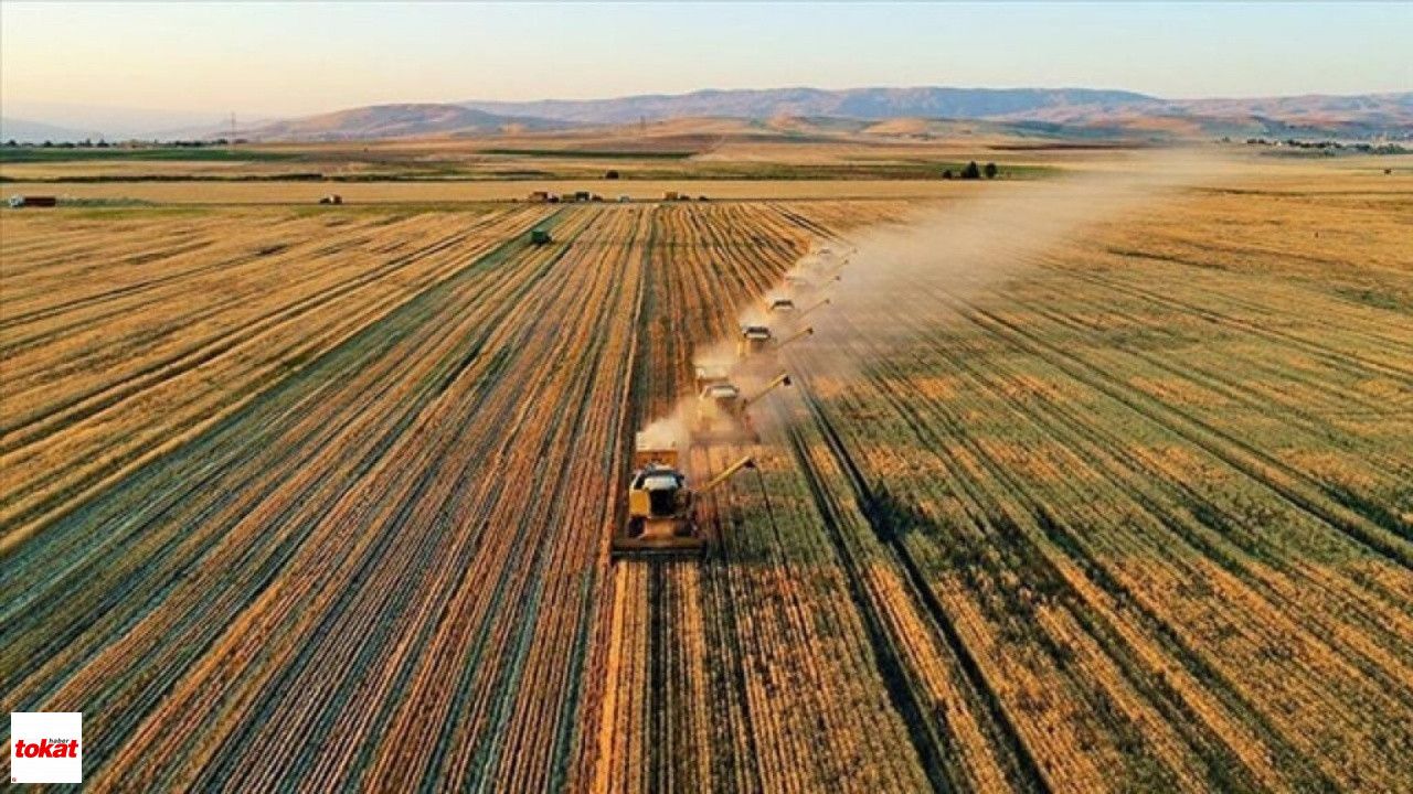 Tokatlı Çiftçinin Üretim Maliyeti Katlandı! En Büyük Zam Enerjiye Geldi