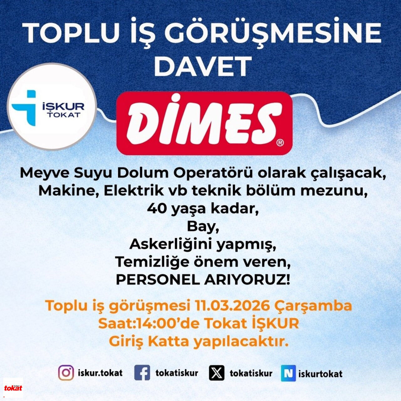 dimes-ilan