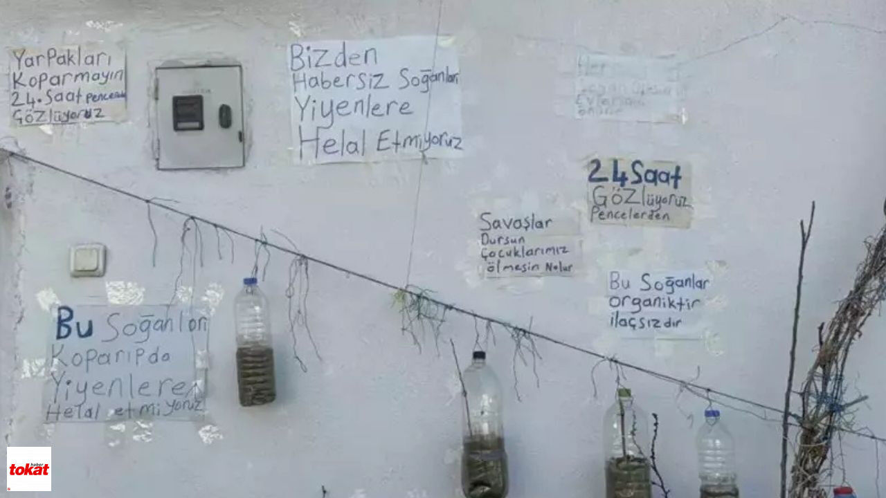 Adsız Tasarım 2026 03 23T194233.312