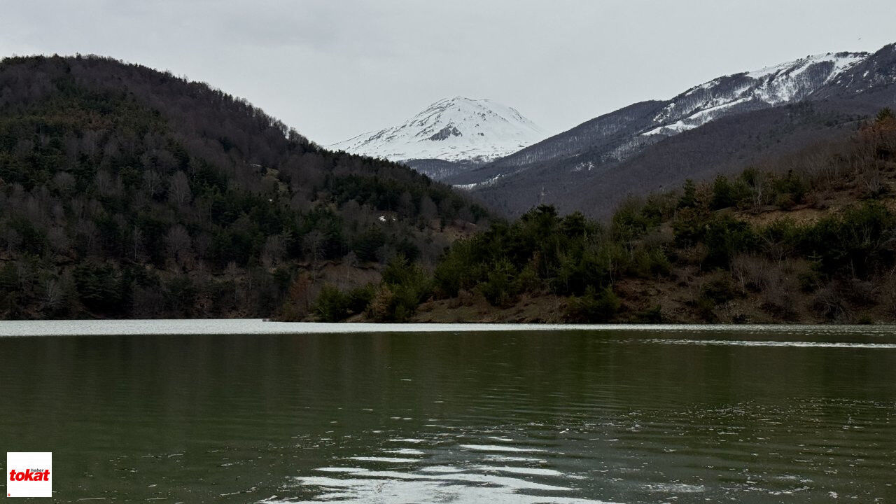 Bahar (2)