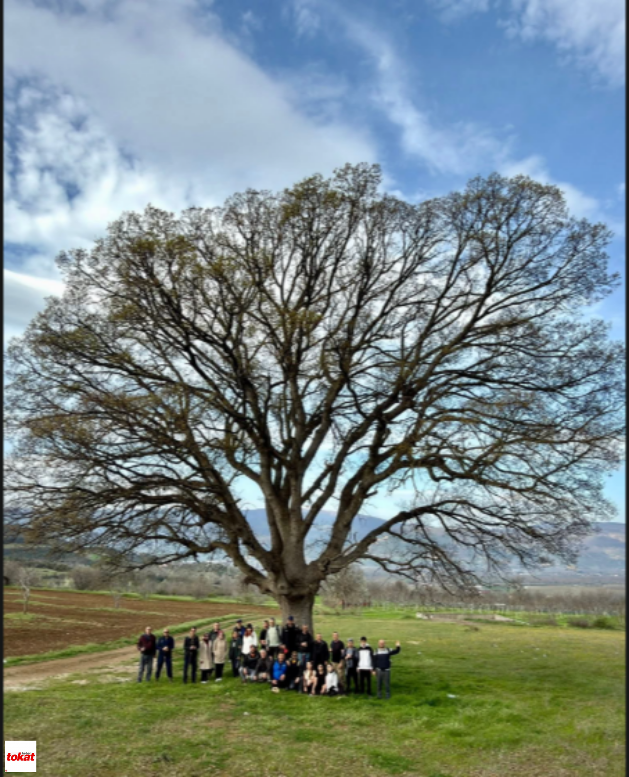 Doğa (1)