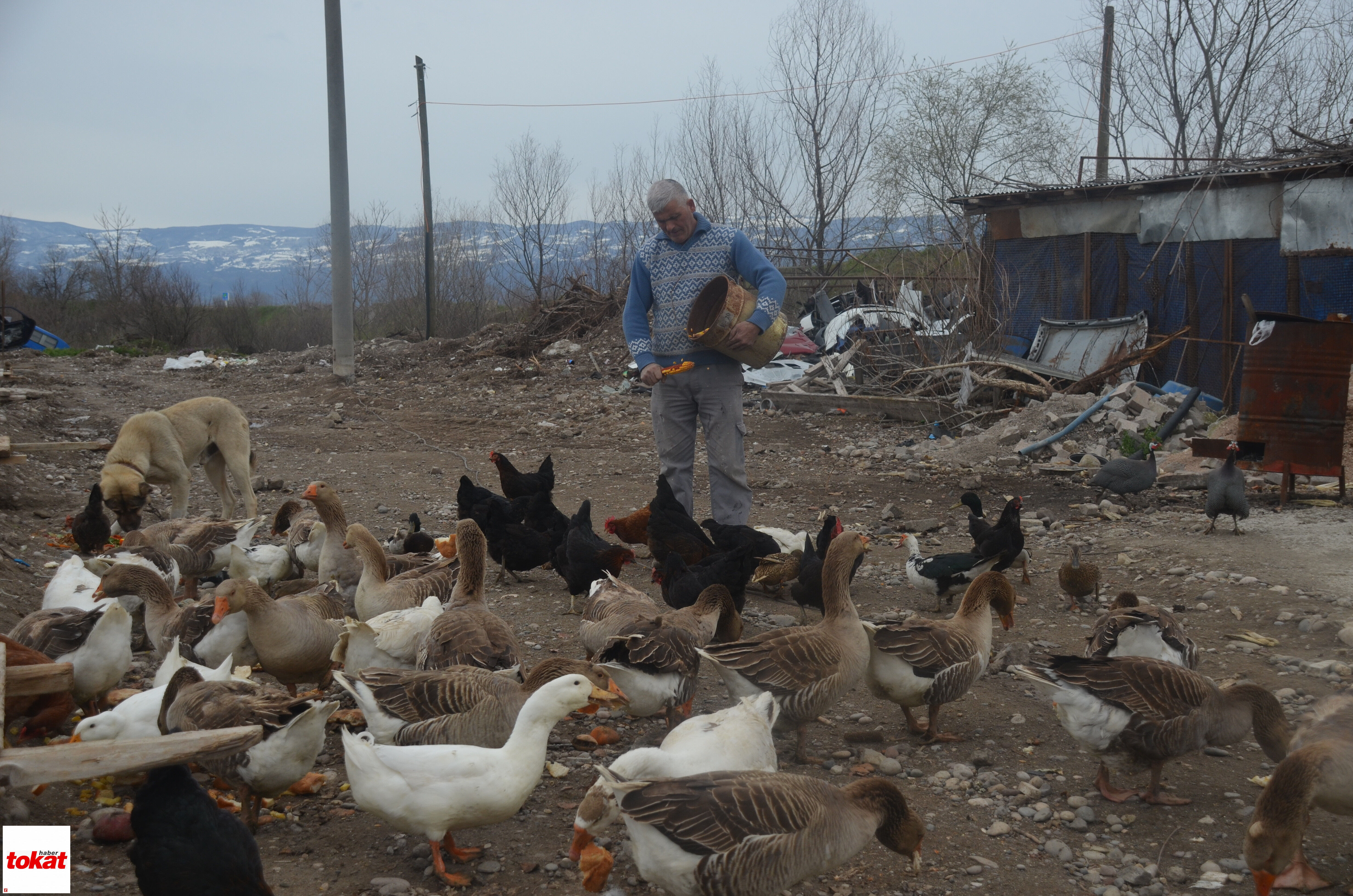 Sanayi (6)