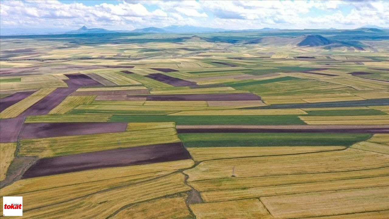 Arsa Metrekare Fiyatları