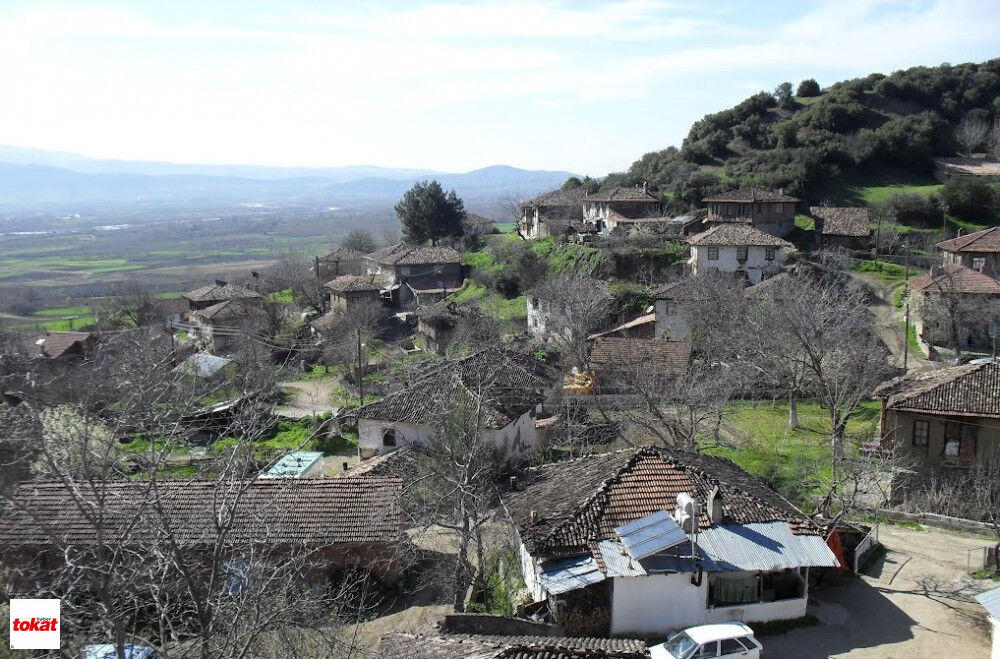 Niksar Mahalle (2)