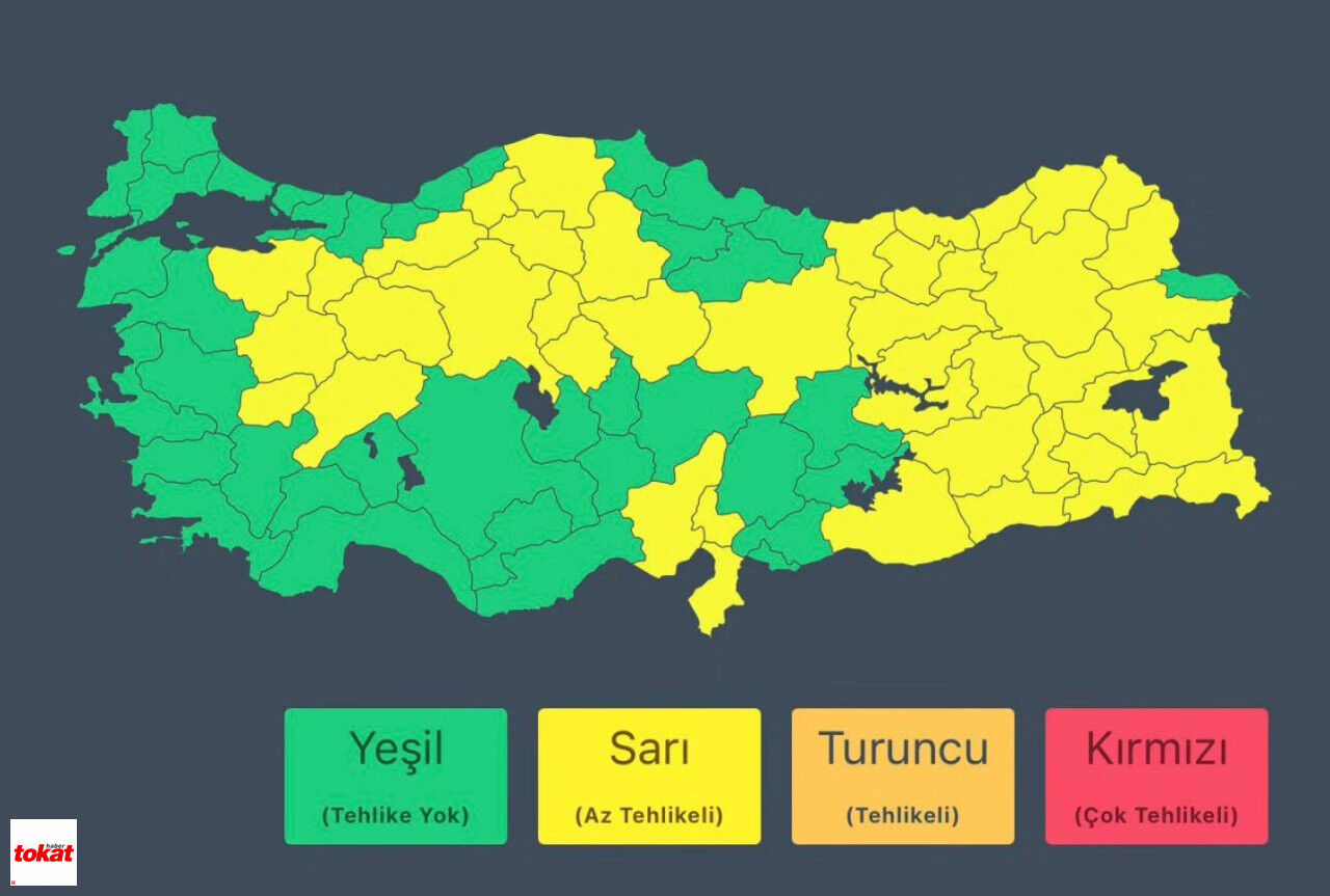 Sarı Kod-1