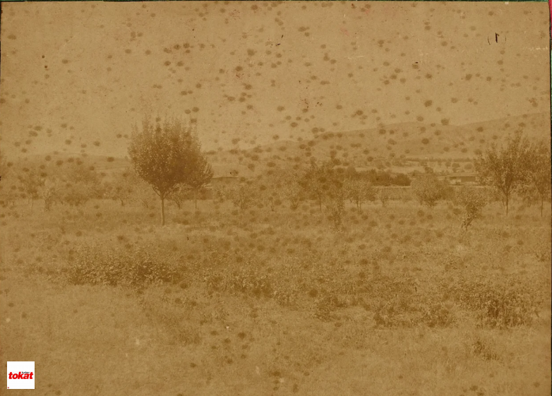 Tokat Bağları (2)