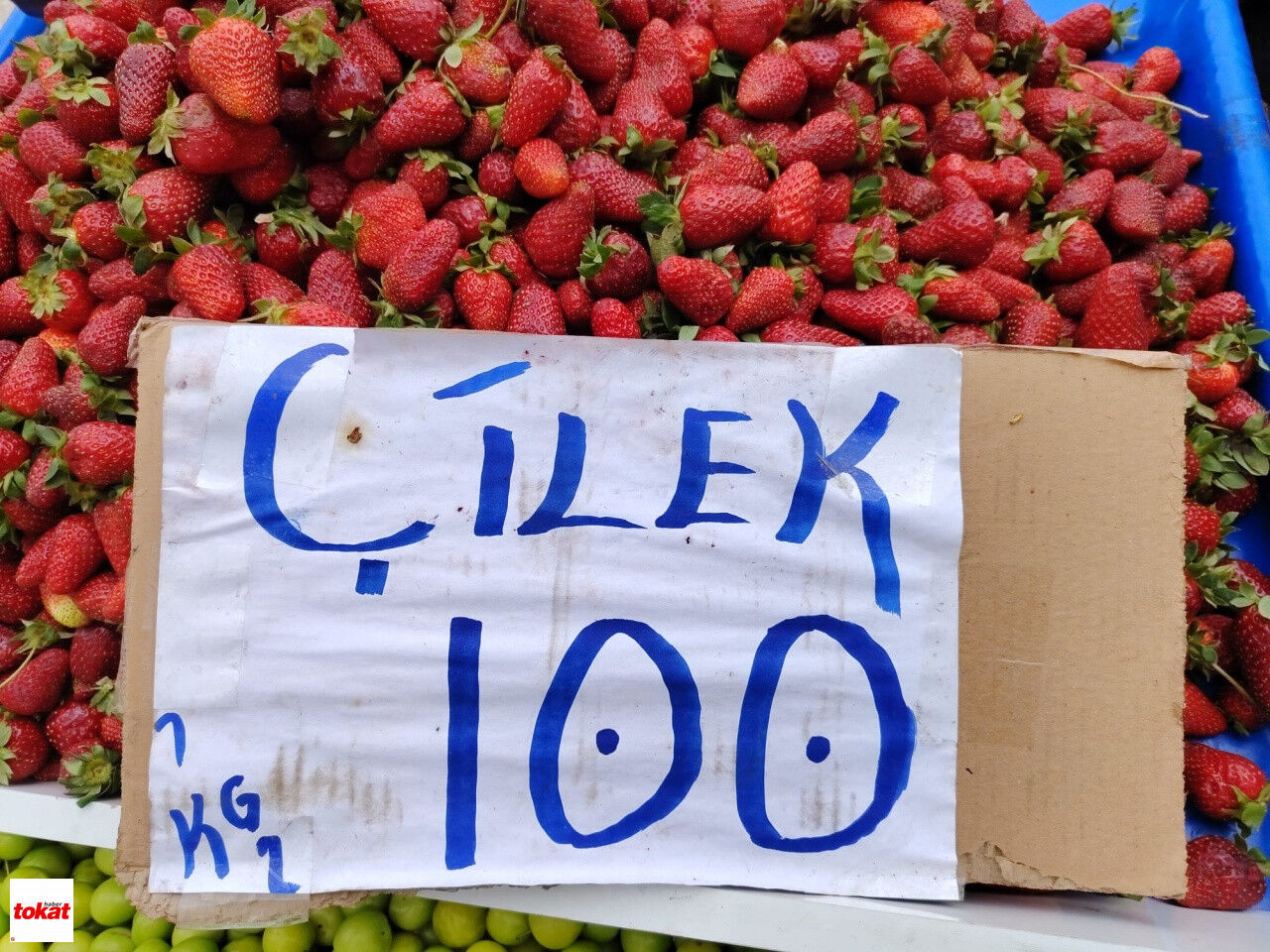 Tokat Erik Ve Çilek Fiyatı1