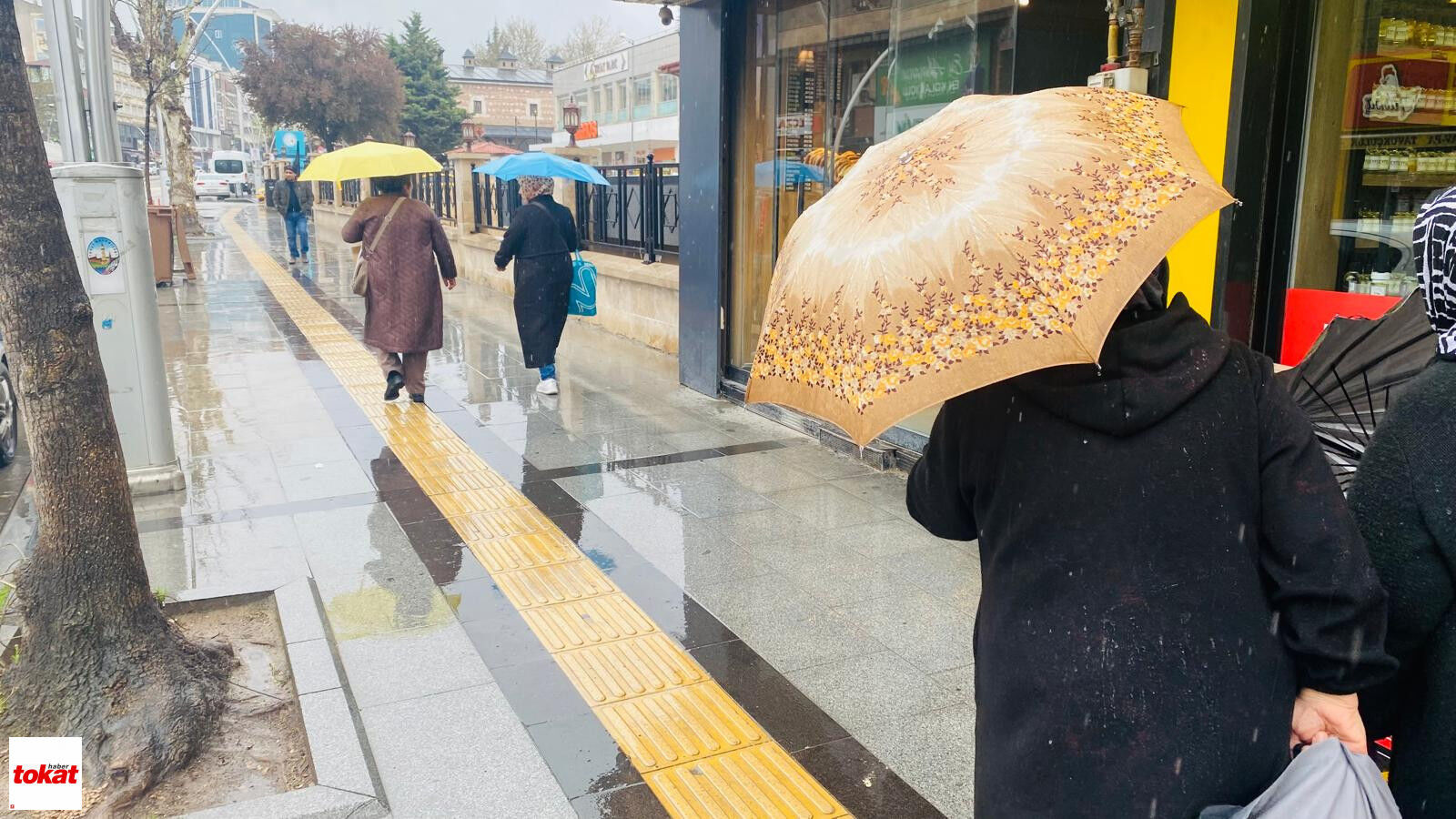 Tokat Yağmur (3)