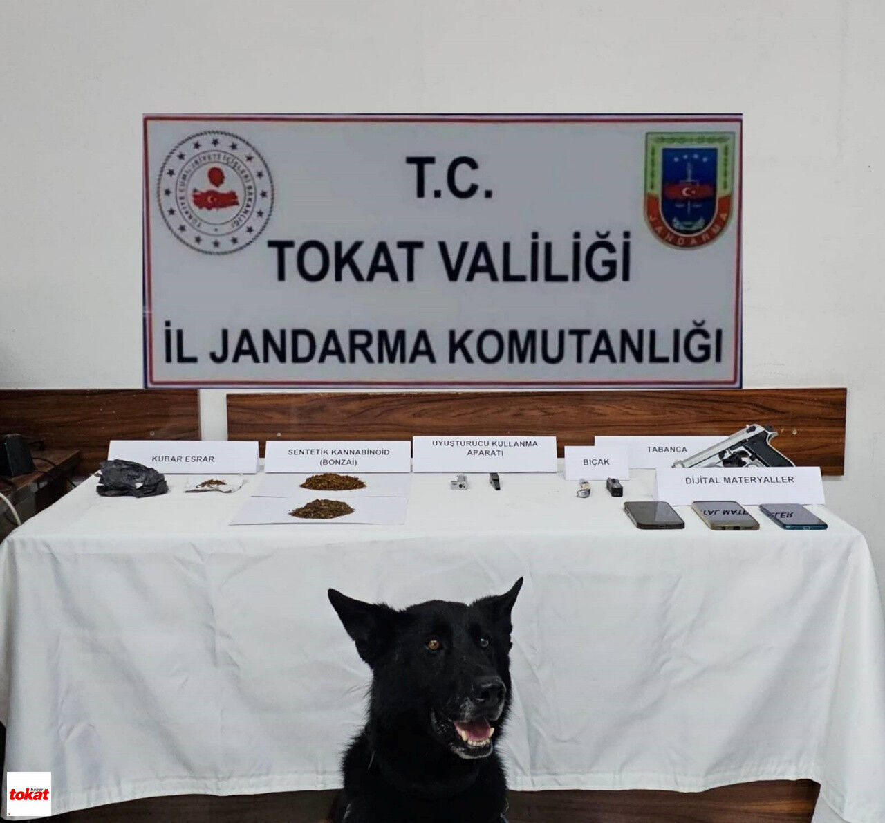 Tokat'ta Jandarmadan Zehir Tacirlerine Operasyon 5 Gözaltı