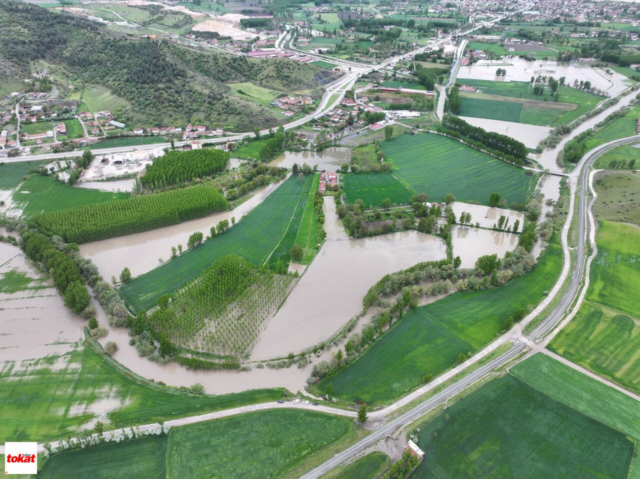 Arazi6