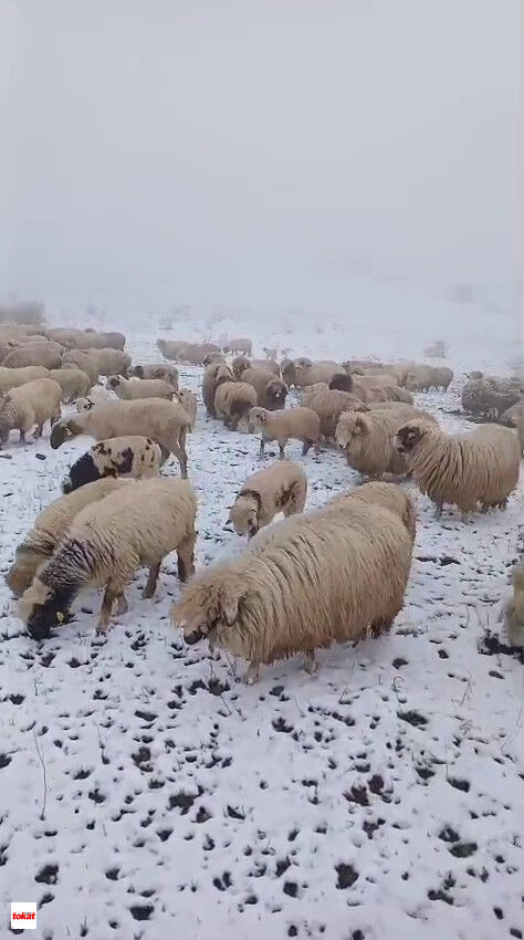 Kar Yayla (1)-1