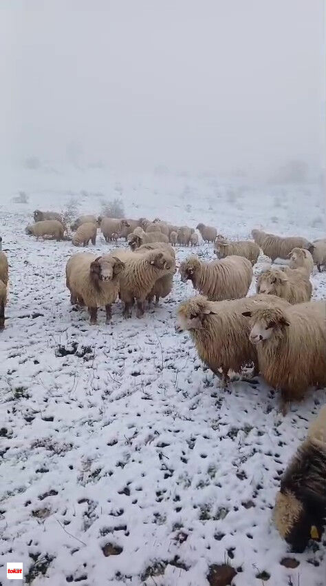 Kar Yayla (4)