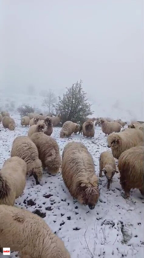 Kar Yayla (5)