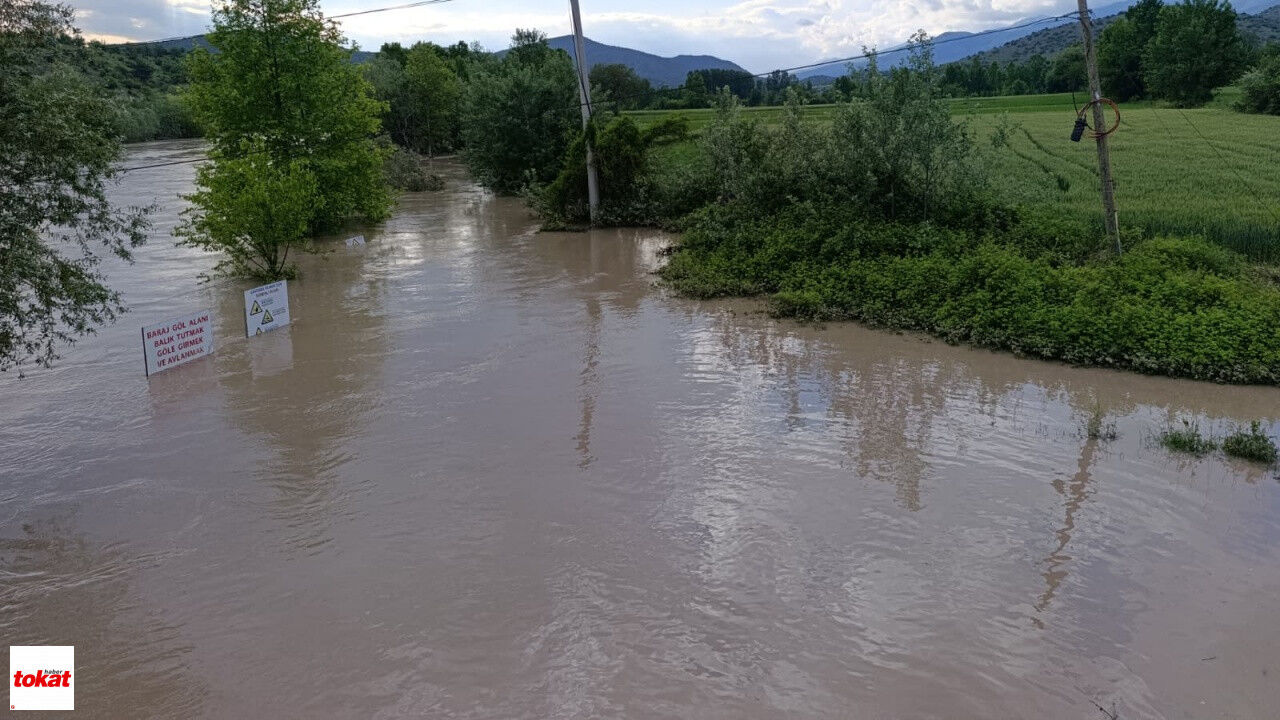 Kelkit Nehri Taştı Niksar Buzköy'de Araziler Su Altında Kaldı Vatandaşlar Seyre Daldı1