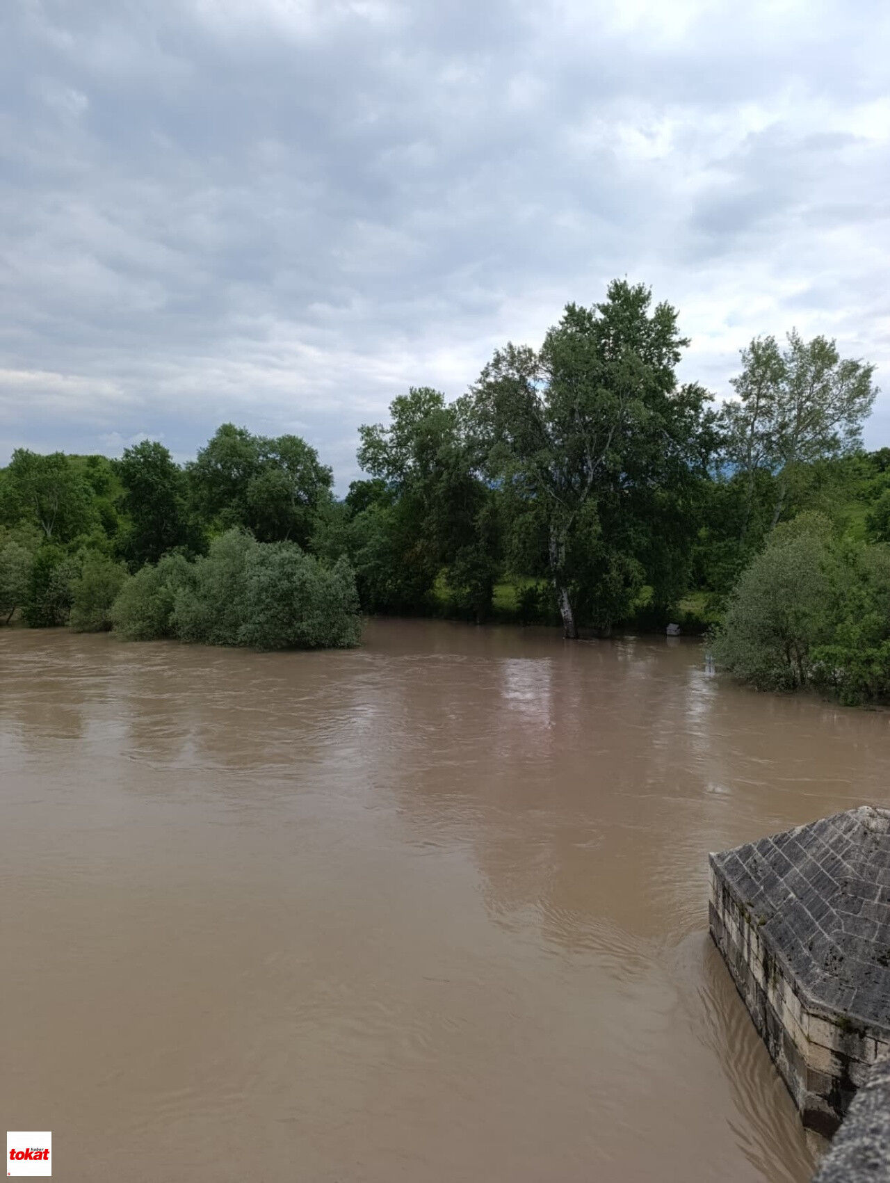 Kelkit Nehri Taştı Niksar Buzköy'de Araziler Su Altında Kaldı Vatandaşlar Seyre Daldı11