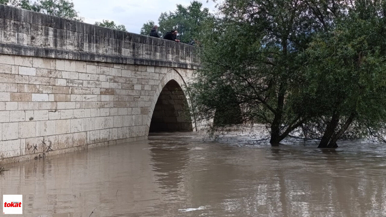 Kelkit Nehri Taştı Niksar Buzköy'de Araziler Su Altında Kaldı Vatandaşlar Seyre Daldı4
