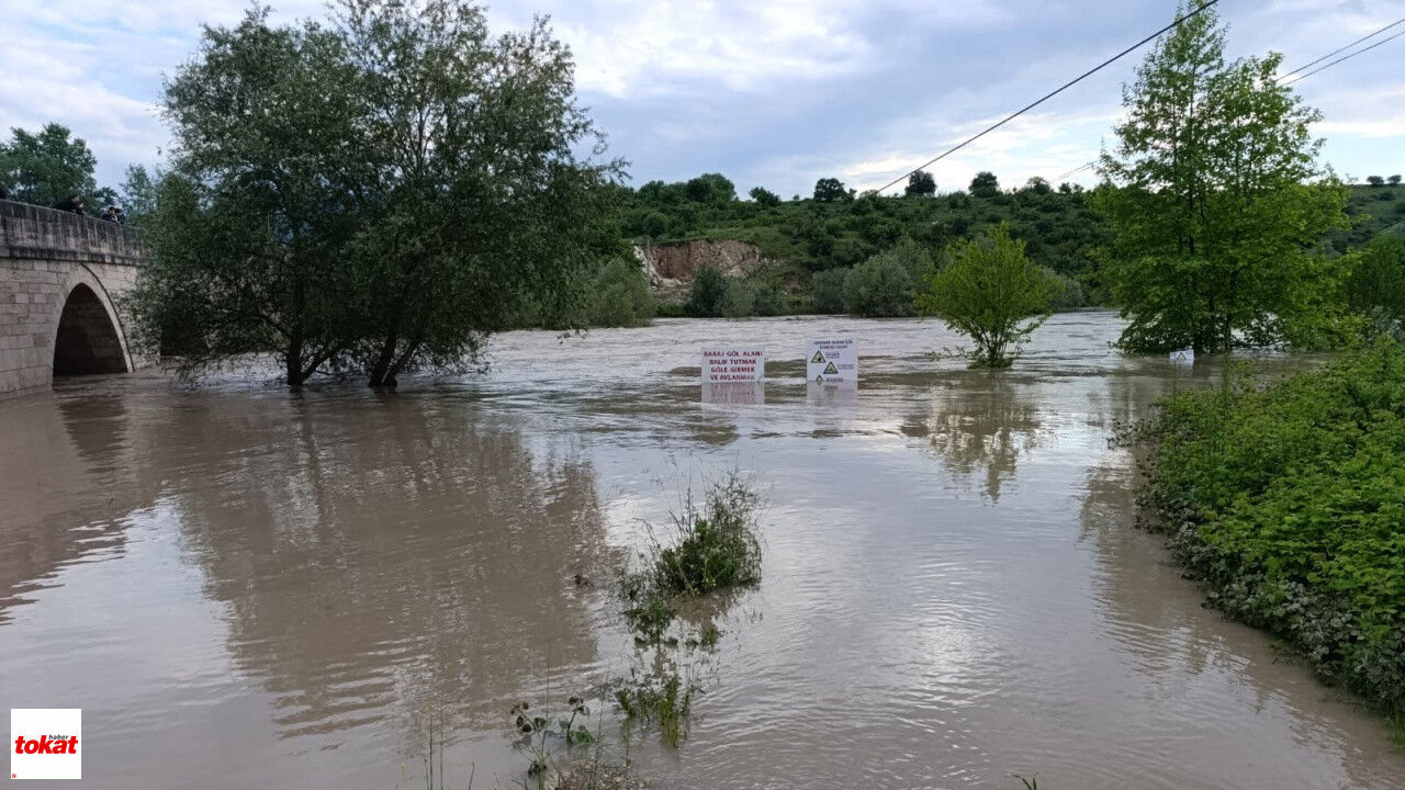 Kelkit Nehri Taştı Niksar Buzköy'de Araziler Su Altında Kaldı Vatandaşlar Seyre Daldı5