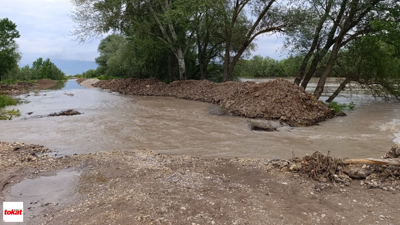 Kelkit Nehri Taştı Niksar Buzköy'de Araziler Su Altında Kaldı Vatandaşlar Seyre Daldı6