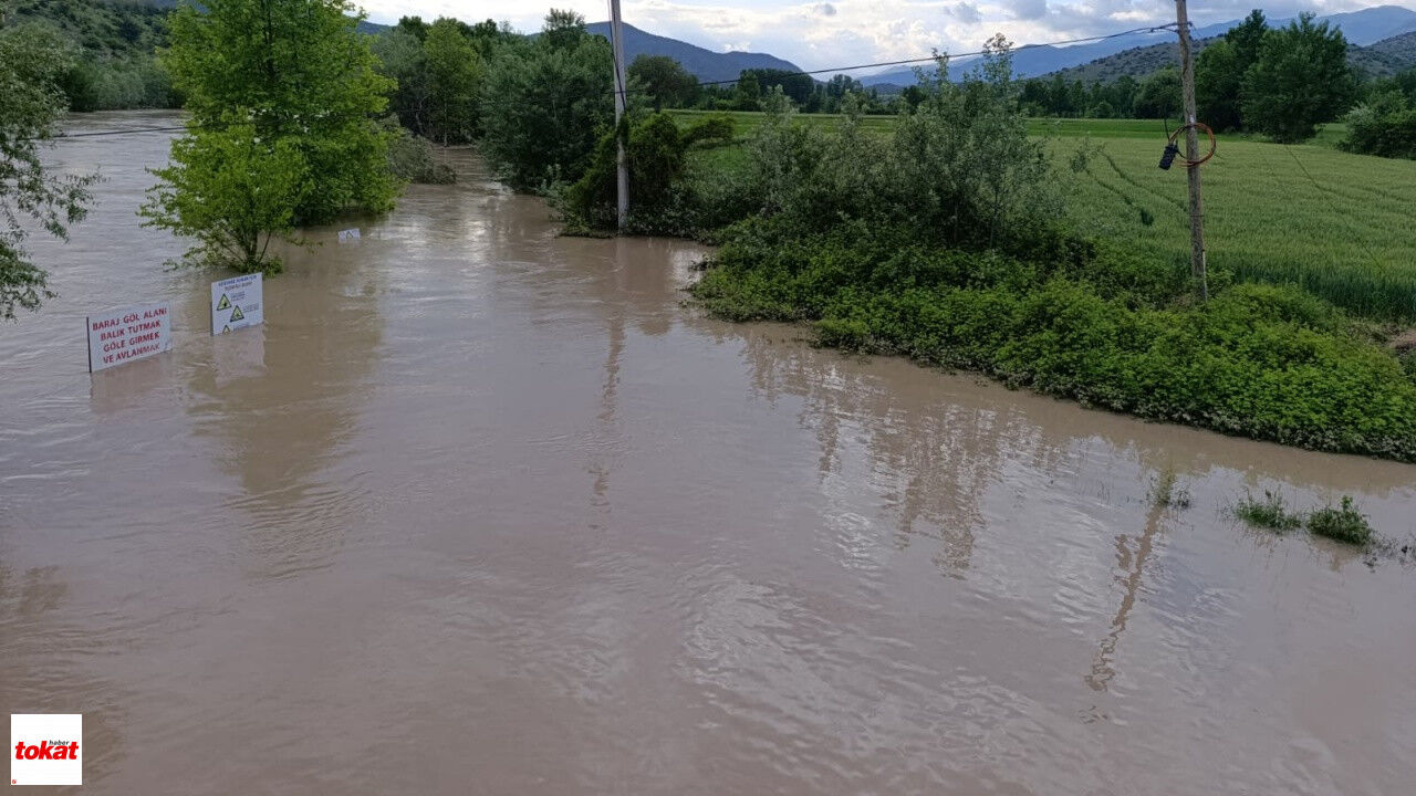 Kelkit Nehri Taştı Niksar Buzköy'de Araziler Su Altında Kaldı Vatandaşlar Seyre Daldı8