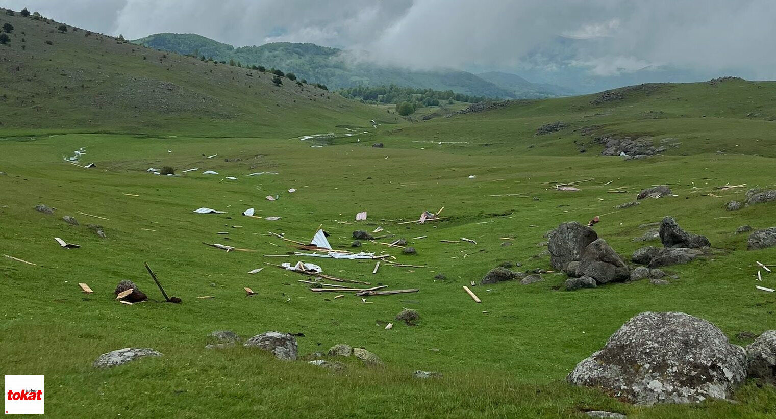 Niksar Manda (2)